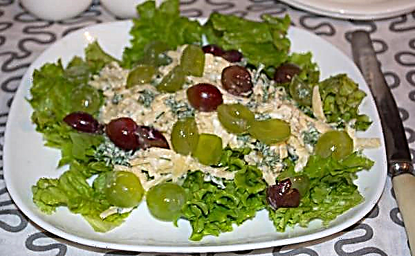 Salad with grapes, chicken and walnuts - the most delicious recipe