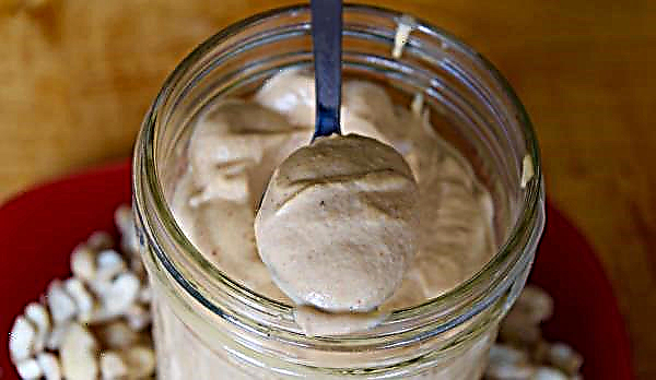 Cashew mayonnaise recipe: the most delicious recipe, cooking with photos