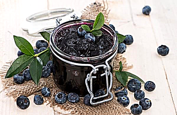 Blueberry jam: recipes for the winter, the benefits and harms, how to cook