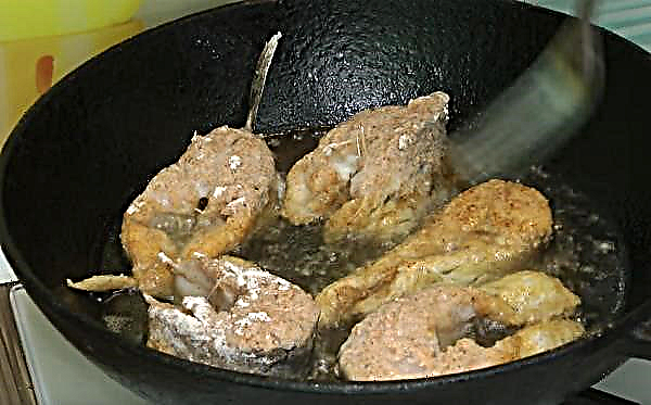 Hoe graskarper in een pan te koken: hoe te bakken met een korst, recepten, foto's, hoe geur te verwijderen bij het bakken van vis