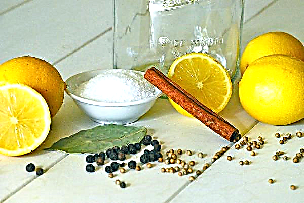 Sabroso e inusual: limones de sal según la receta marroquí