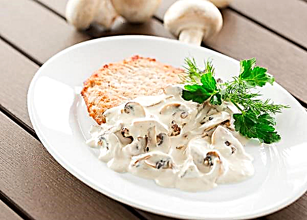 Molho de cogumelos champignon com creme de leite - uma receita simples e passo a passo para cozinhar com uma foto