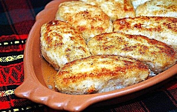 Chicken cutlets with mushrooms inside, a simple step by step recipe for cooking with photos