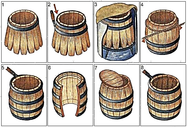 Barrels for honey: in which it is best to store honey, their types, do-it-yourself barrel, step by step instructions, video