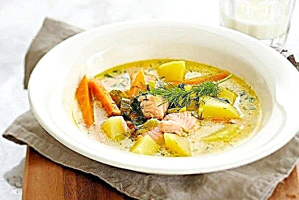 통조림 핑크 연어 생선 수프 : 단계별 조리법 사진, 감자 요리, 느린 밥솥에서 생선 수프 요리법
