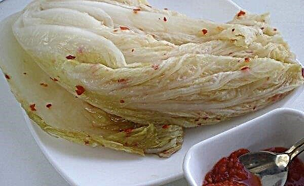 Sauerkraut cabbage: features, best recipes, storage methods at home