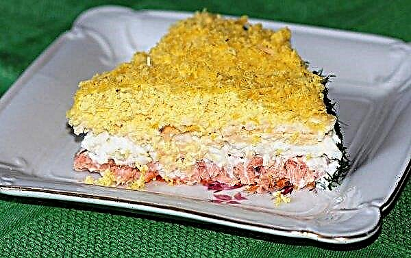 Salada de salmão enlatada rosa: receitas simples com fotos, uma deliciosa salada com batatas, queijo e ovo, como fazer camadas passo a passo de pepino