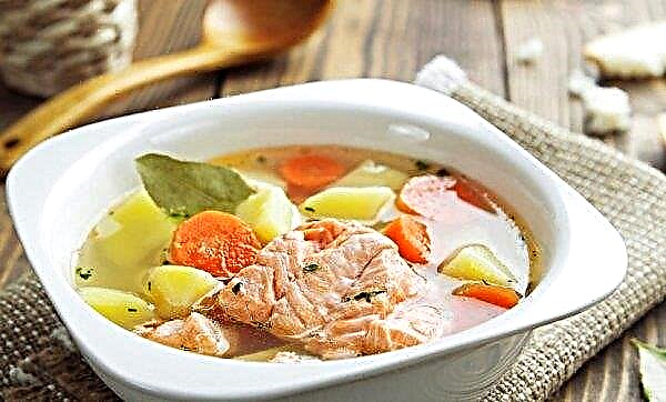 Смрзнута супа од розе лососа: детаљни рецепт за рибље чорбе са фотографијом како укусно кувати из свеже смрзнутог филета