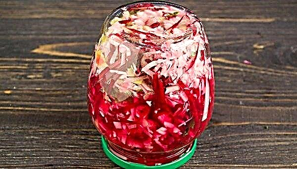 Cold pickled cabbage: the best recipes for the winter, storage features