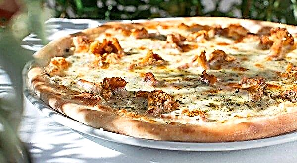 Pizza com cogumelos chanterelles e salsicha, uma receita simples passo a passo