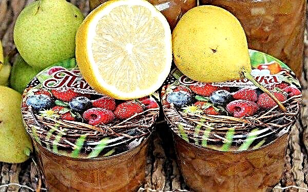 Pear jam for the winter: benefits, nutritional value, best recipes, storage features