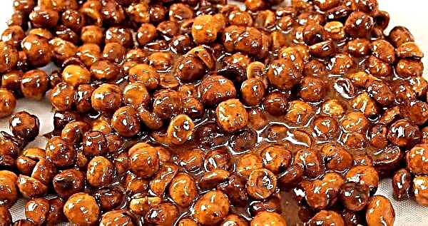 Een eenvoudig recept voor het maken van hazelnoten in karamel, hoe je noten karamelt voor een cake