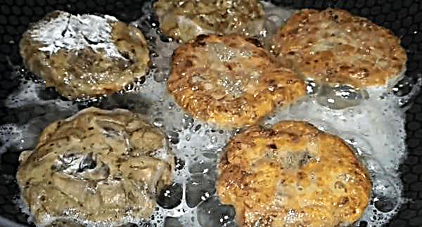 How to cook mushroom cutlets from champignons: simple and tasty, step by step recipe with photos