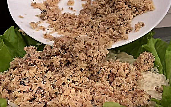 Salade met ingeblikte roze zalm en rijst - recept met foto's, hoe een vissalade met eieren en komkommerlagen te koken