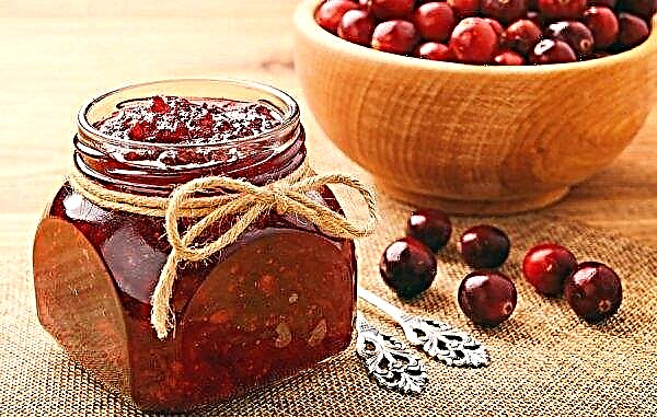 Cranberry-jam: recept, confituur, thuis koken, de beste manieren