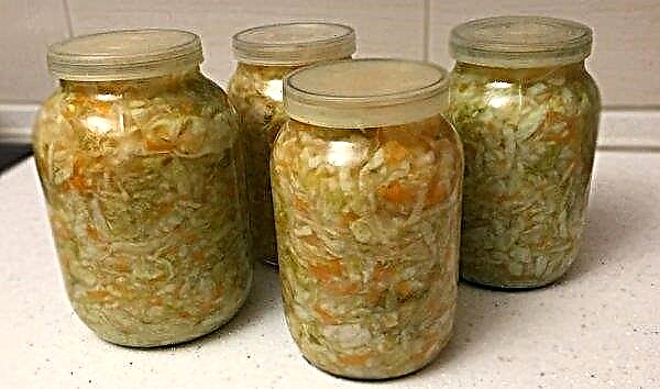 Sauerkraut mit Essig: Winterernte-Rezepte, Lagerungsmerkmale