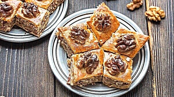 Baklava recipe with walnuts and puff pastry honey, home-made