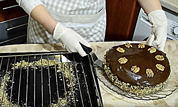 Gâteau au lait concentré bouilli et aux noix: recette avec photo