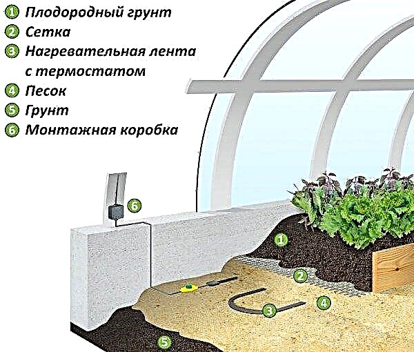 Double-glazed greenhouses - do-it-yourself construction features