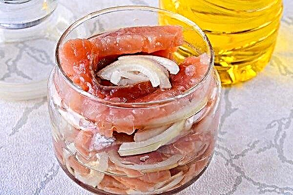 Cómo salar salmón rosado en casa con rodajas rápidas y sabrosas: recetas para salar pescado con aceite y cebolla, en un frasco, cómo salar en salmuera
