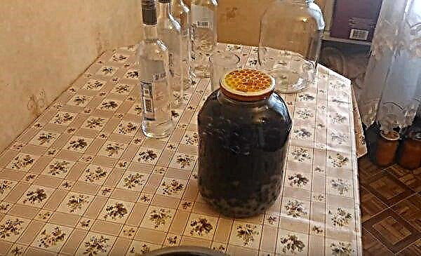 Het recept voor zwarte bessen thuis van alcohol en wodka