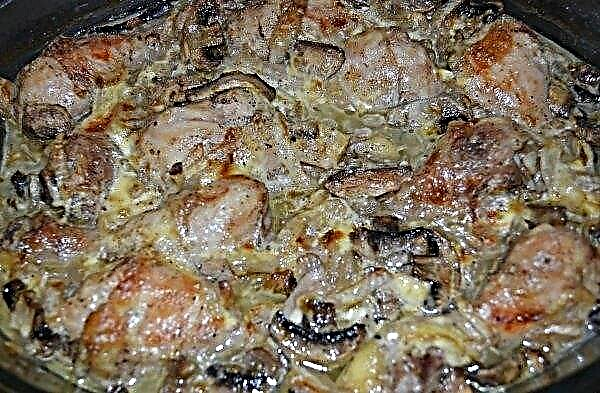 Muslos de pollo con champiñones en salsa cremosa, cómo hornear muslos de pollo en el horno, simples recetas de cocina paso a paso con fotos