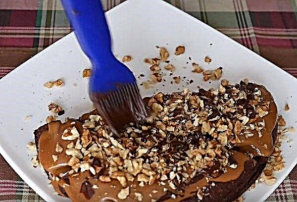 Brownies aux noix: recettes pas à pas avec photos
