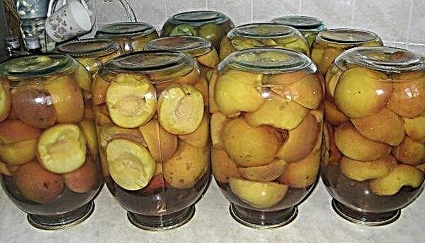 Preserved peaches and grapes compote for the winter: a step-by-step recipe with photos