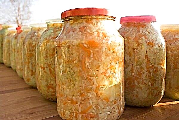 Sugar-free sauerkraut: the best recipes, storage
