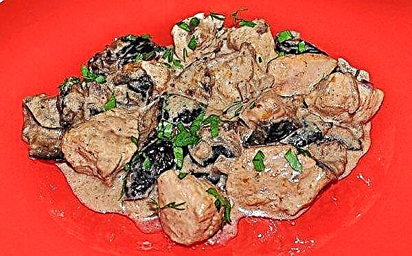 Turkey fillet with mushrooms in the oven: delicious recipes