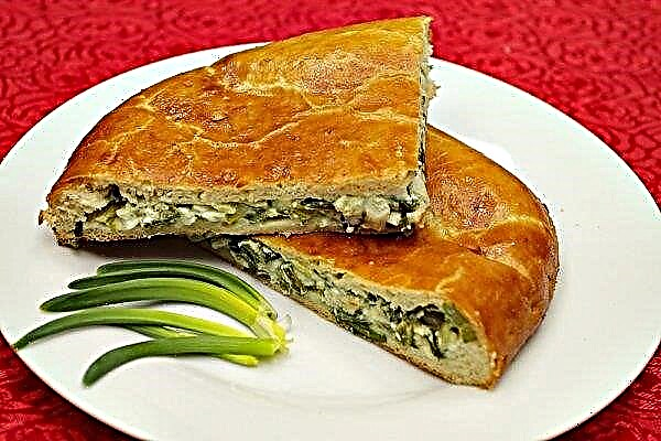 Humpback salmon pie: with canned and fresh fish, with rice and egg, with potatoes