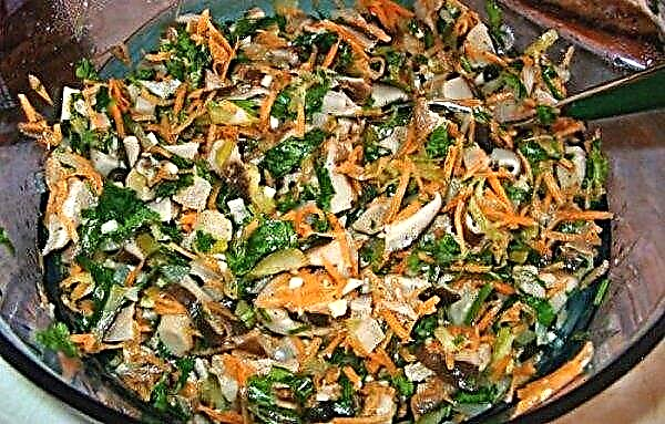 Ensalada con pechugas saladas: recetas, cocinar con papas y pepino, con pollo, ensaladas Rosolier y Spark