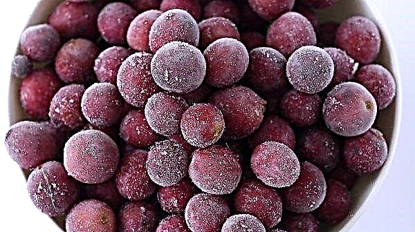 Comment faire du vin à partir de raisins Lydia à la maison: recettes étape par étape, photos