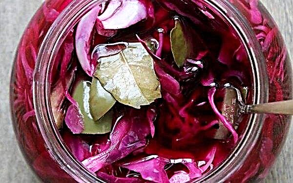 Azerbaijani cabbage: the best winter harvest recipes, storage methods