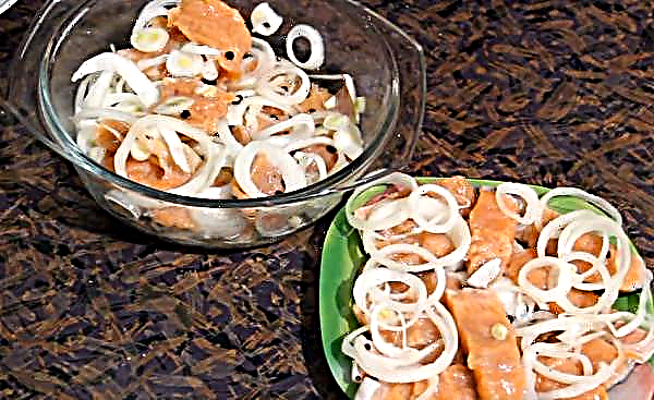Pink salmon salted with salmon: recipes with photos of how to salt quickly and tasty at home, dry salted fish, with oil and without brine