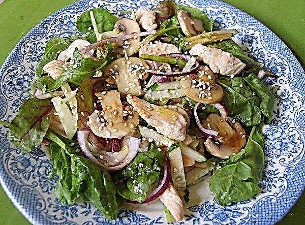 Délicieuses salades aux champignons et légumes frits: la recette étape par étape la plus simple pour cuisiner avec une photo