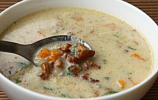 Chanterelle cream soup: recipes with cream, cheese, potatoes, pumpkin and chicken