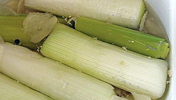 Pickled leek: the best step-by-step recipes for preparations, storage methods