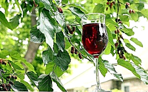 Mulberry vin: en enkel trin-for-trin opskrift til madlavning derhjemme