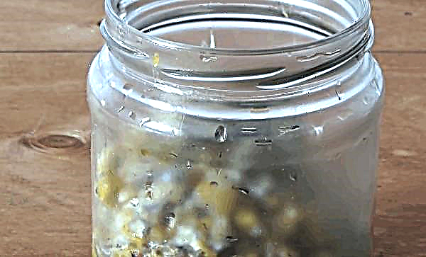 Caviar de champignons de cèpes d'hiver aux carottes et oignons, recette