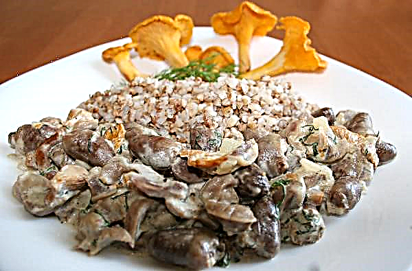 Kippenmagen met champignons: een recept voor koken in zure room, met champignons