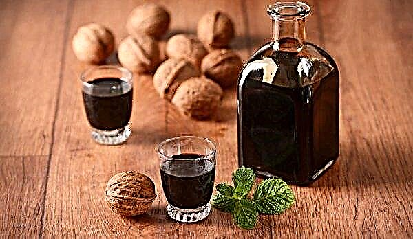Tincture on the shell of walnuts on moonshine, useful and healing properties of tincture