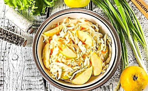 Recipes for sauerkraut at home with carrots, calories
