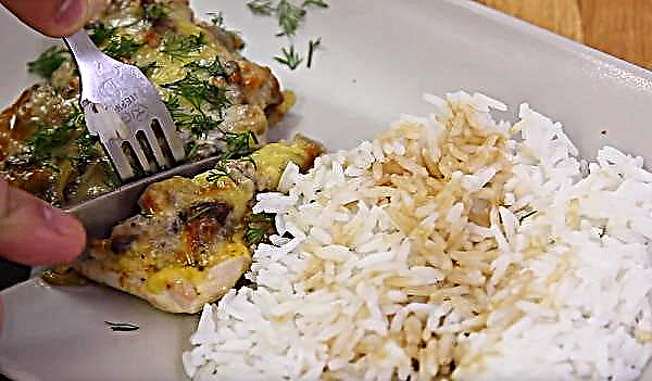 Breast with mushrooms in the oven: the most delicious chicken fillet recipes with cheese and tomatoes