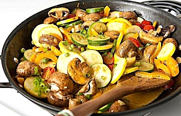 Eggplant with champignons, what to cook from zucchini, a simple step by step recipe with photos