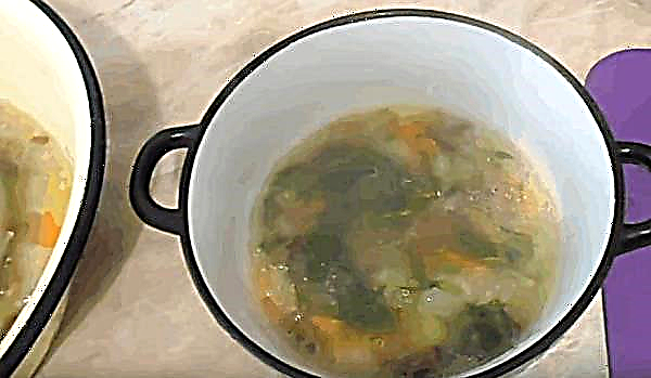 Πώς να μαγειρέψετε σούπα μανιταριών από κατεψυγμένα μανιτάρια μελιού, την πιο νόστιμη συνταγή, φωτογραφία