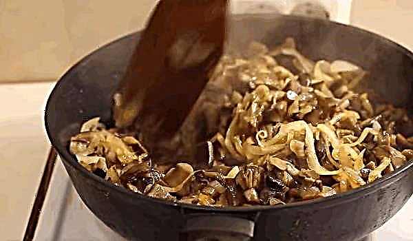 Kuinka keittää paistettuja sieniä talveksi, resepti ruoanlaittoon