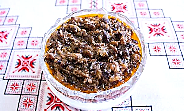 Kaviár z medových húb - najlepšie recepty: s cibuľou a mrkvou, pomocou mlynčeka na mäso, zo zmrazeného, ​​bez sterilizácie