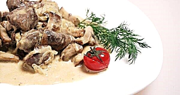Braised beef with mushrooms in sour cream, a step by step recipe, meat in the oven