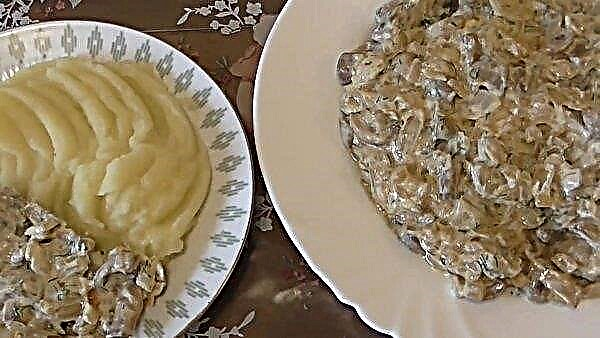 Stewed champignons in sour cream, a classic recipe with photos step by step, calories per 100 g